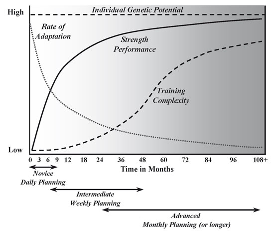 Strength Progression Chart