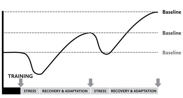 progressive overload and the stress/adaptation/recovery cycle