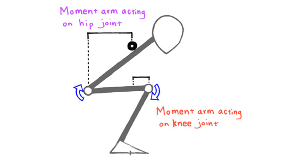 moments at the hip and knee