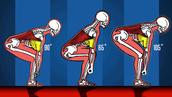 hamstring position changes with back angle
