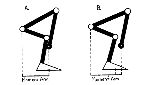 moment arms