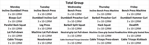 total group whole body training