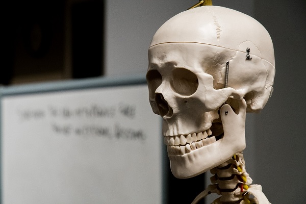 getting inside your skull