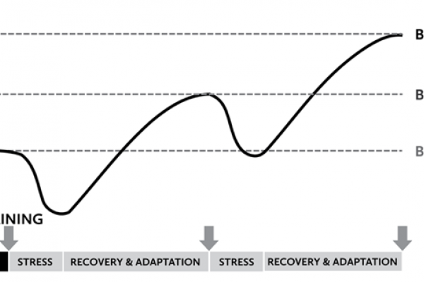 progressive overload and the stress/adaptation/recovery cycle