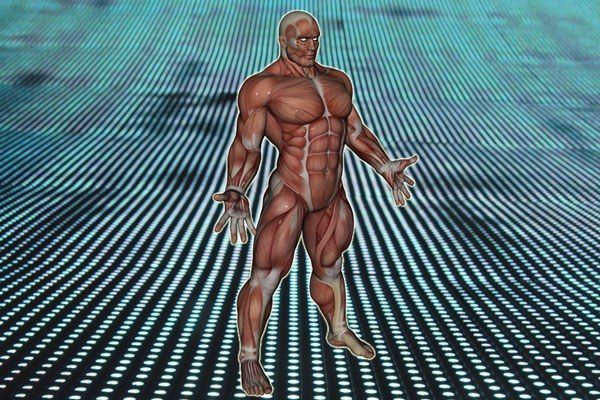 hypertrophy man