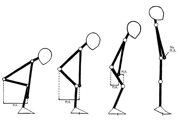 starting strength drawing moment arms in the clean