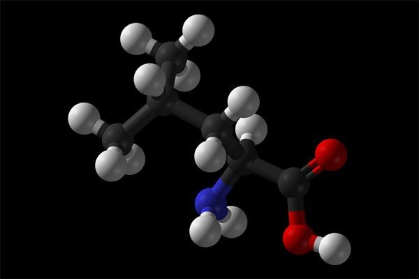 molecular protein model