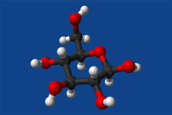 carbohydrate molecular model