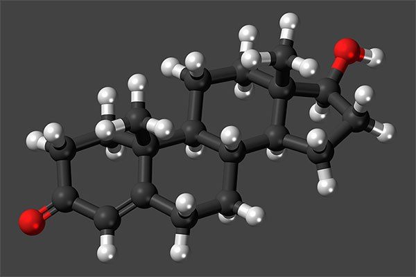 testosterone model