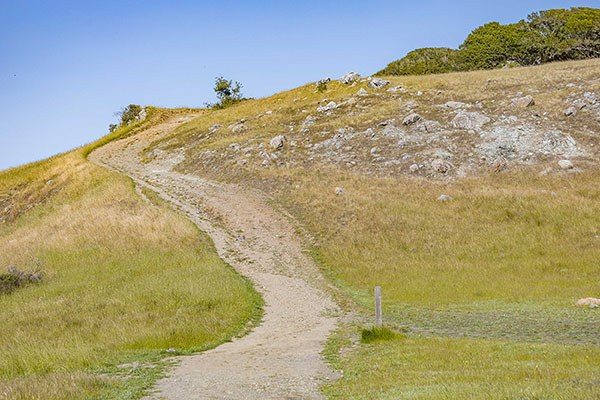 hill with a well-traveled path