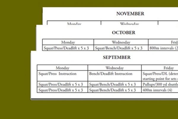  army physical fitness test approach