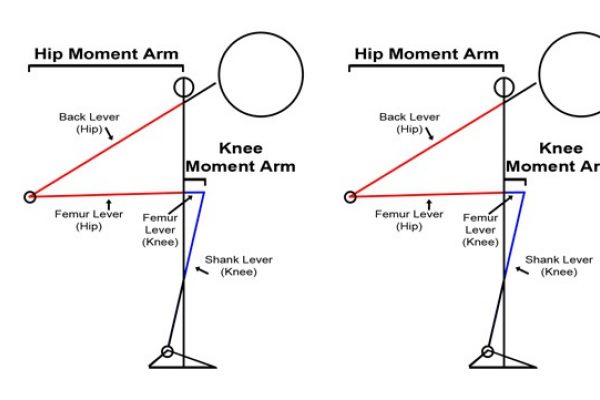 analyzing the squat