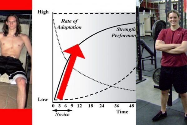 strength training novice effect zach