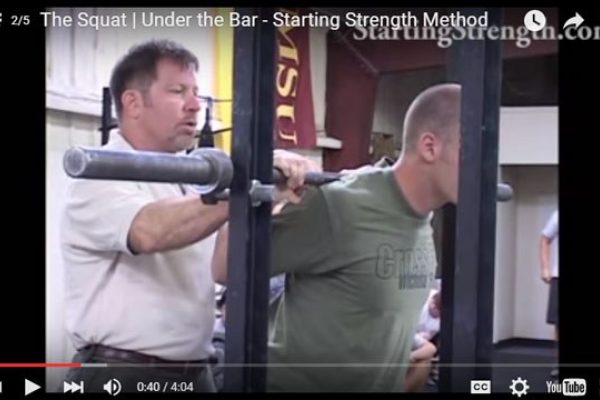squat dvd under the bar