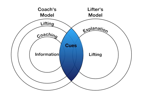 cue development model