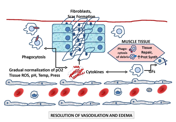 late inflammation