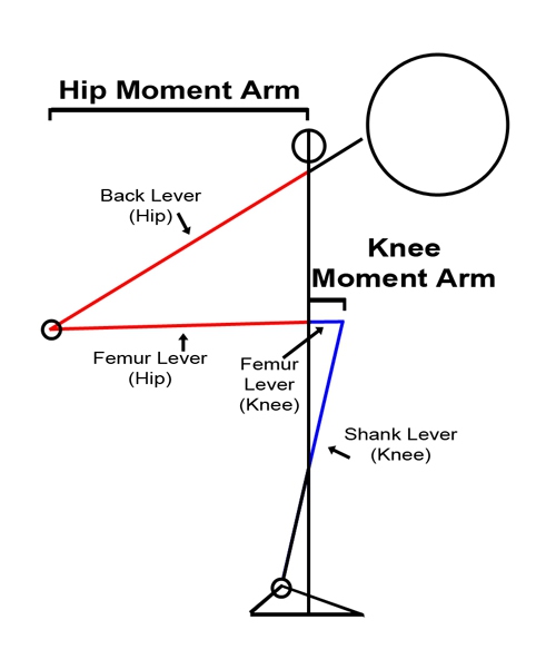 squat moment arms