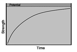 strength increase curve