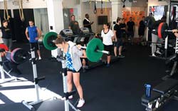 barbell club focus personal training institute